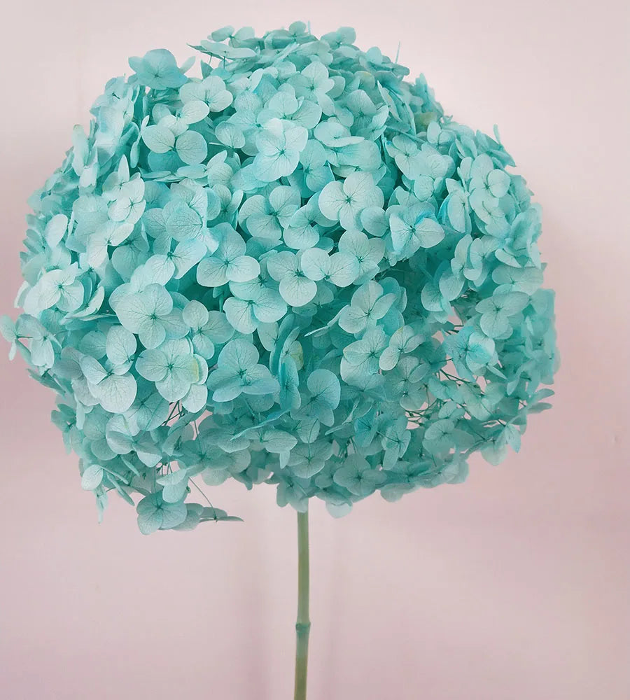 DIY Material Immortal Preserved Real Hydrangea Artificial Flower the Colorful Forever Lasting Hydrangea with Branches