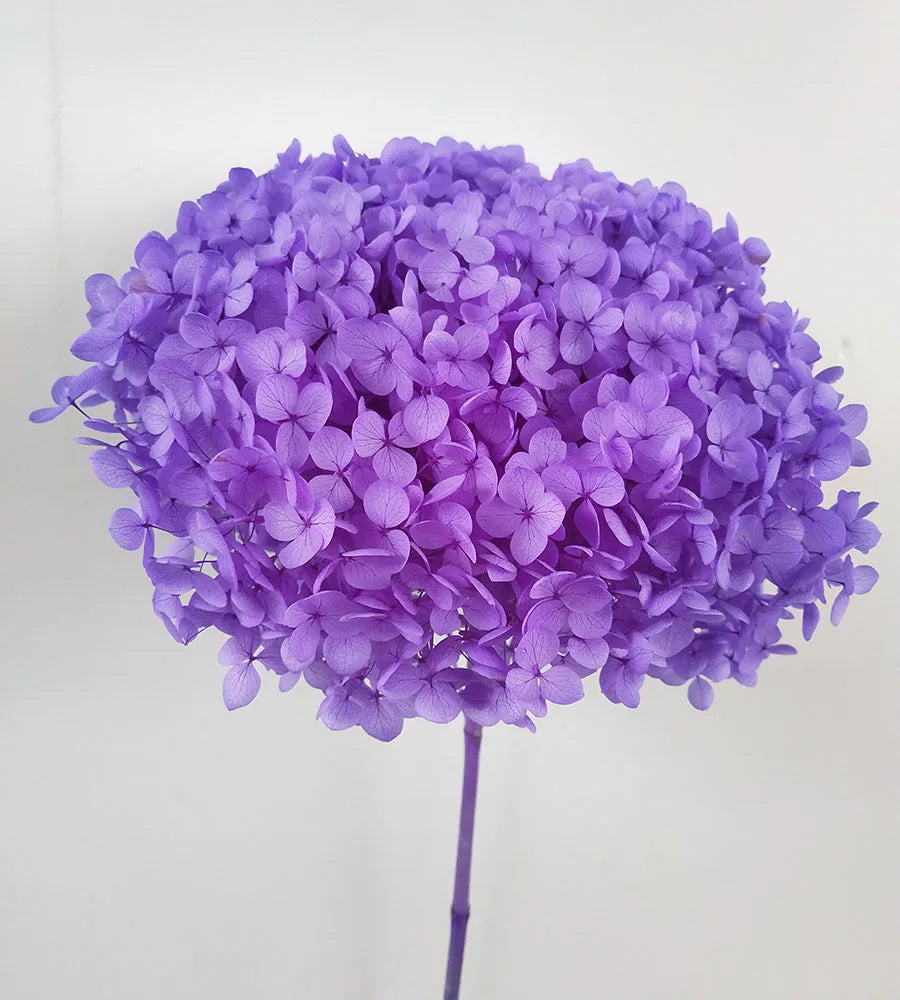 DIY Material Immortal Preserved Real Hydrangea Artificial Flower the Colorful Forever Lasting Hydrangea with Branches