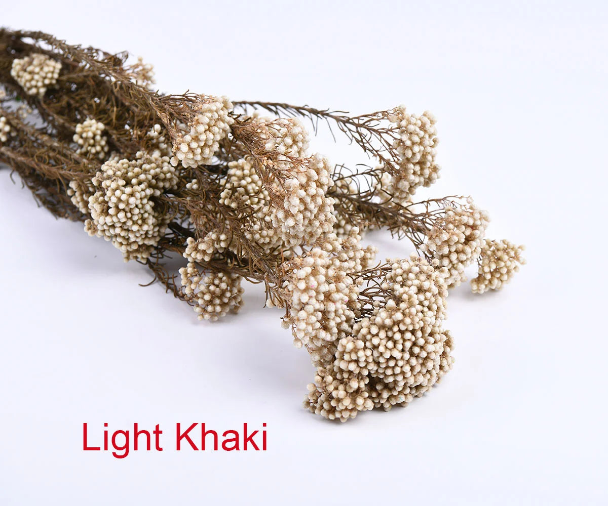 White Preserved Rice Dried Flowers for Wedding Ceremony Decoration Factory Wholesale Dry Natural Decorative Flowers & Wreaths