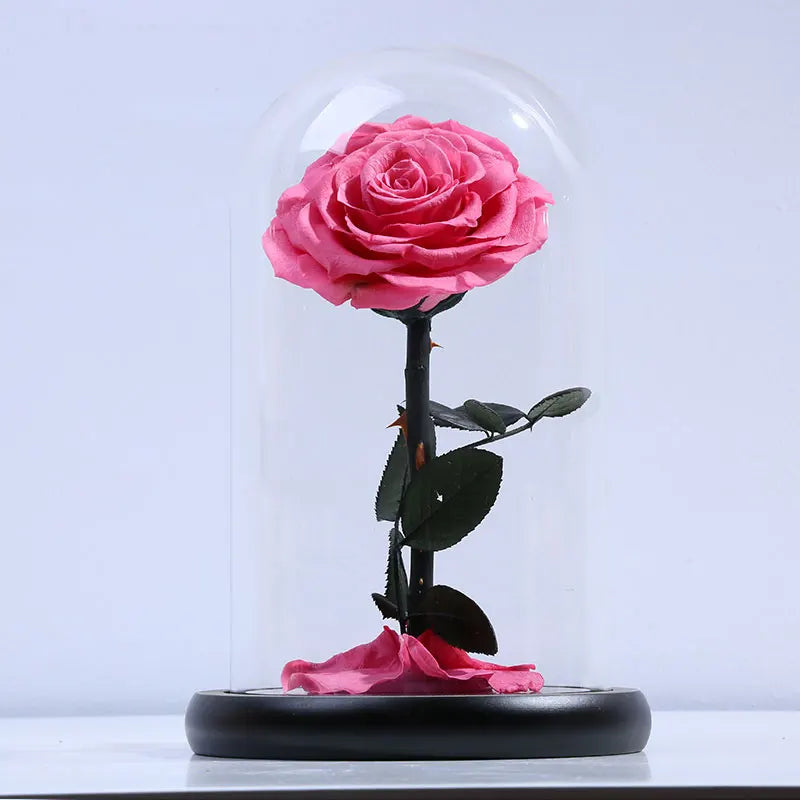 A grade beautiful enchanted preserved flowers in glass princekin festival gift