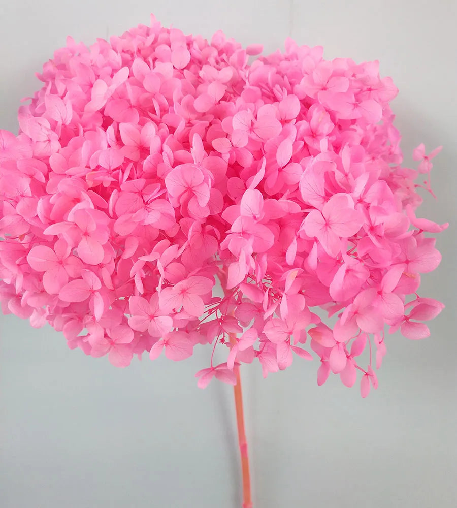 DIY Material Immortal Preserved Real Hydrangea Artificial Flower the Colorful Forever Lasting Hydrangea with Branches