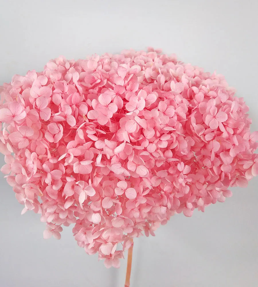 DIY Material Immortal Preserved Real Hydrangea Artificial Flower the Colorful Forever Lasting Hydrangea with Branches