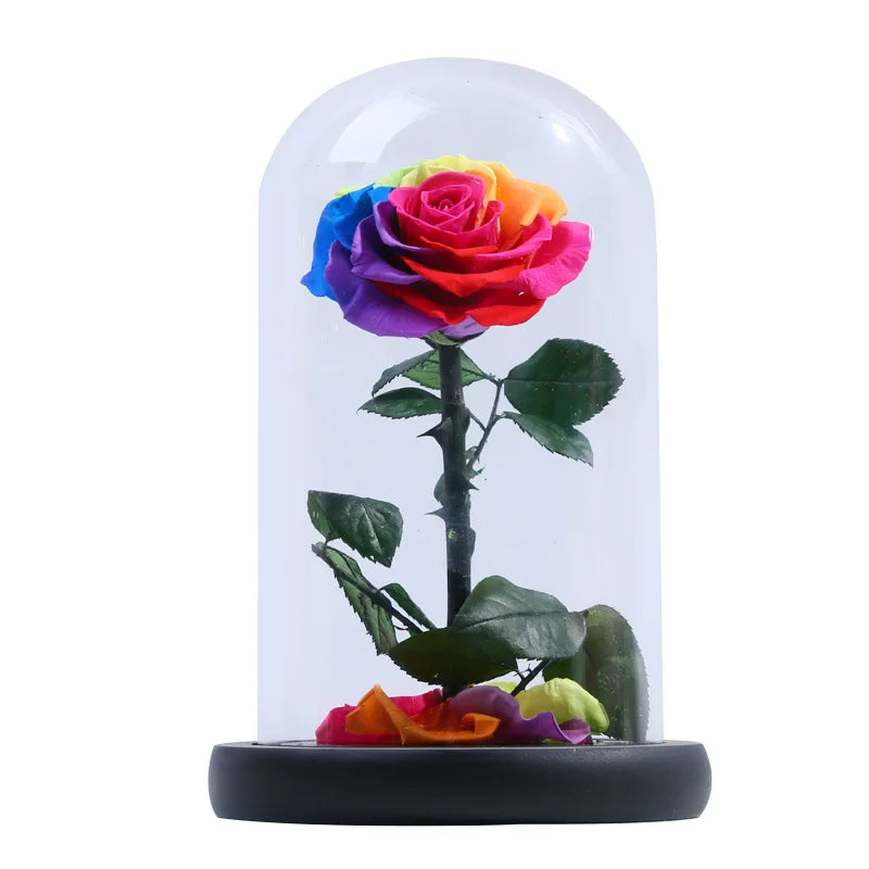 A grade beautiful enchanted preserved flowers in glass princekin festival gift