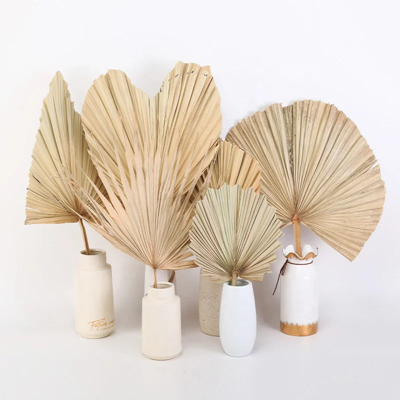 Wholesale Hot Sale Real Natural Vilot Purple Processed Dried Palm Leaves Fan For Wedding Flower Arranging