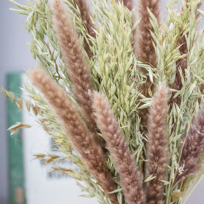 Boho Decor Bunny tails Pampass Dried Flower Arrangements Lagurus Ovatus Tall Pampas Pompas Grass Bouquet