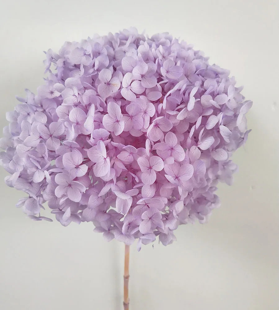 Wholesale Pink Purple hydrangea hortensias bouquet real touch hydrangea flowers