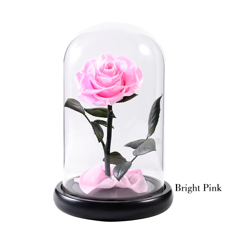 Wholesale Cheap Price Handmade Beauty Beast Rose long lasting Preserved flowers in Glass tube