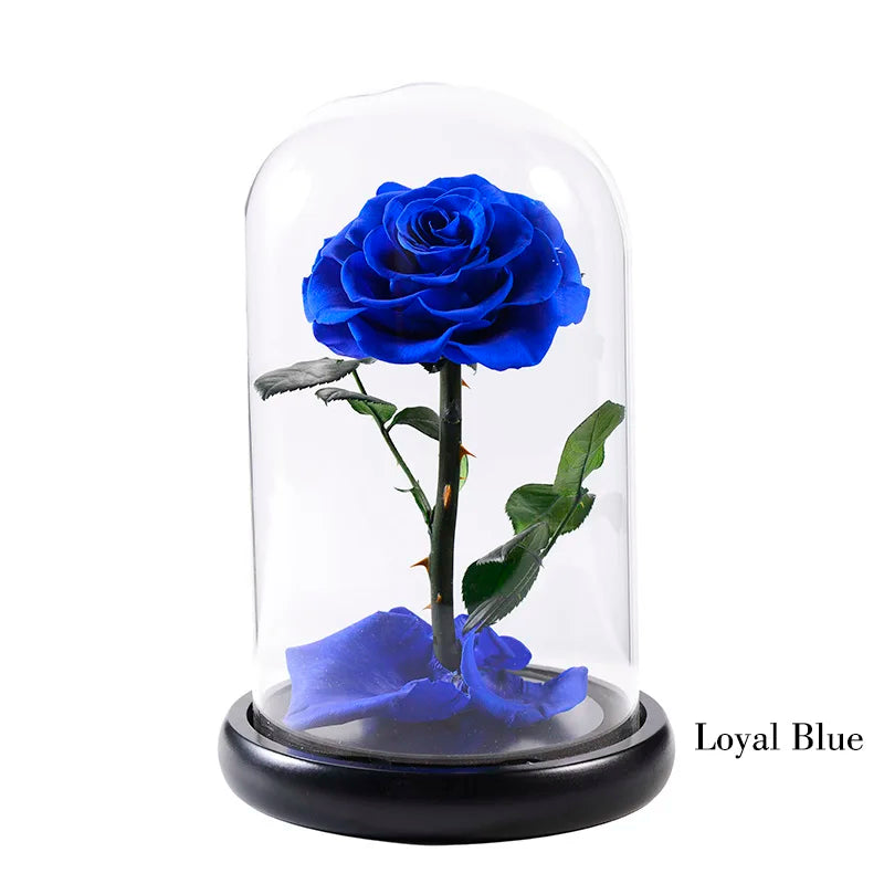 Wholesale Cheap Price Handmade Beauty Beast Rose long lasting Preserved flowers in Glass tube