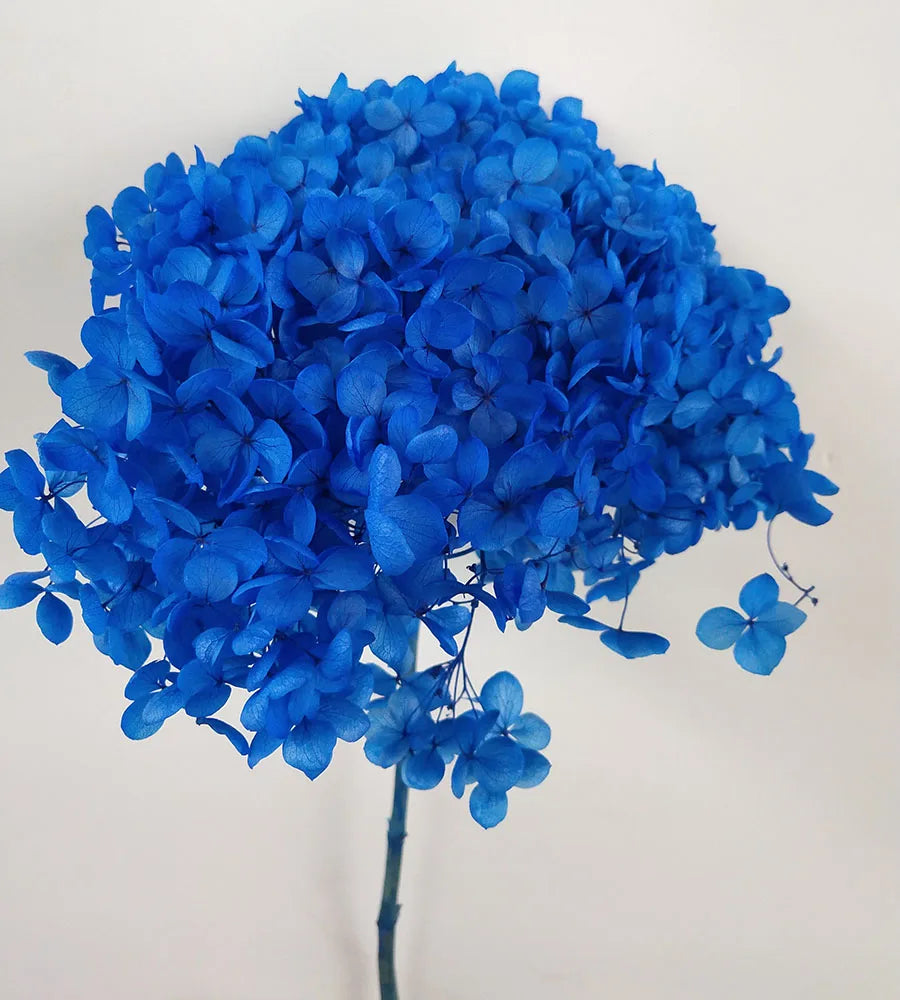 DIY Material Immortal Preserved Real Hydrangea Artificial Flower the Colorful Forever Lasting Hydrangea with Branches