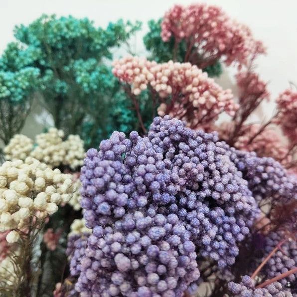 White Preserved Rice Dried Flowers for Wedding Ceremony Decoration Factory Wholesale Dry Natural Decorative Flowers & Wreaths