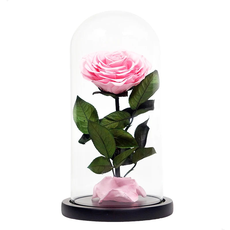 luxurious valentines day black preserved roses in glass dome gifts