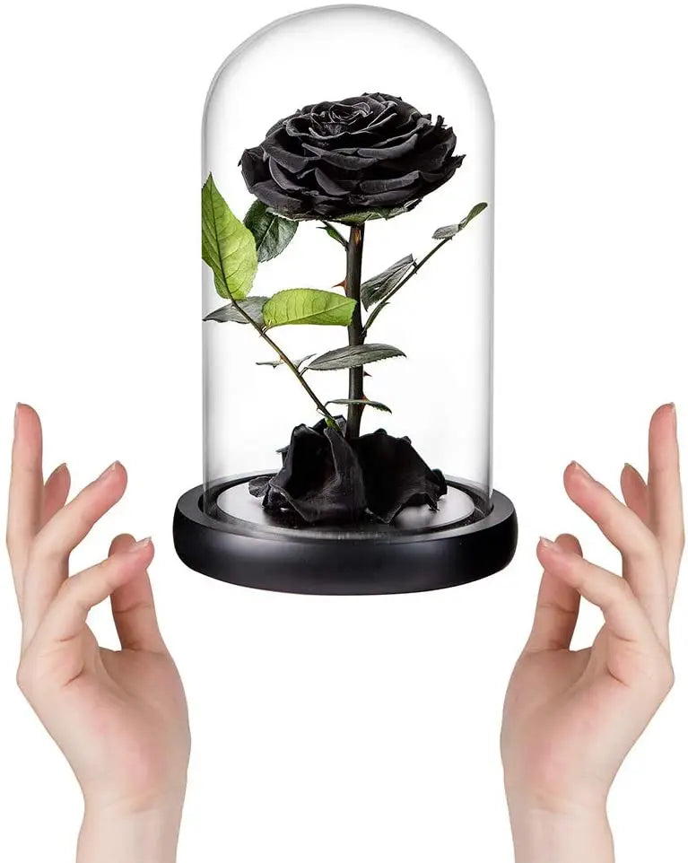 Wholesale Flor Eterna Preservada Glass Dome Black Single Preserved Beast Rose with flower long stem