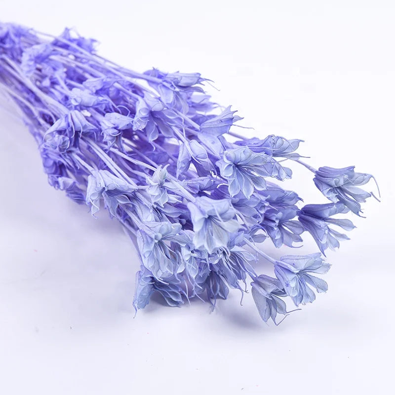 Cheap Wholesale Real Natural Bleached Preserved Flowers Octagonal Bouquet Florals Dried Octagon Flower