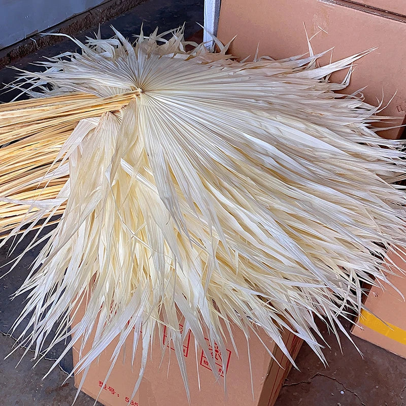 Wholesale Hot Sale Real Natural Vilot Purple Processed Dried Palm Leaves Fan For Wedding Flower Arranging