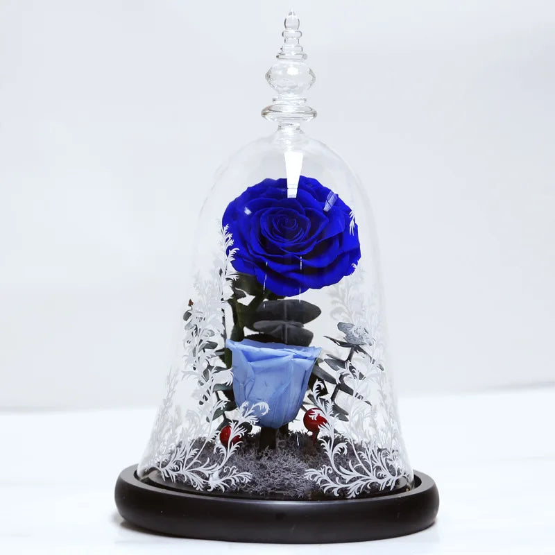 classic type rose beauty rosa bella e bestia preserved rose beauty and the beast