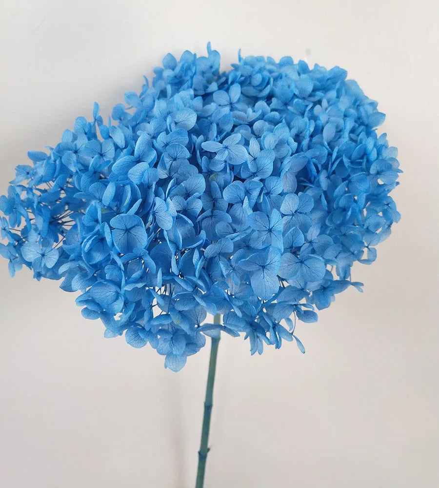 DIY Material Immortal Preserved Real Hydrangea Artificial Flower the Colorful Forever Lasting Hydrangea with Branches