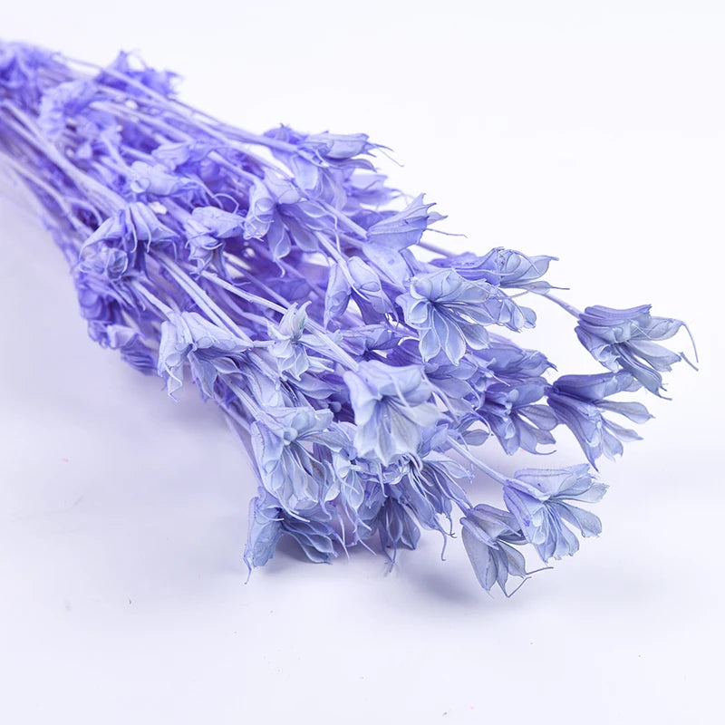 Cheap Wholesale Real Natural Bleached Preserved Flowers Octagonal Bouquet Florals Dried Octagon Flower