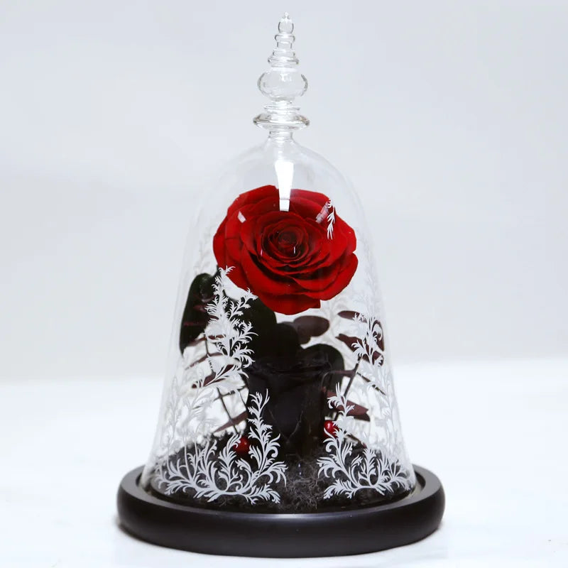 classic type rose beauty rosa bella e bestia preserved rose beauty and the beast