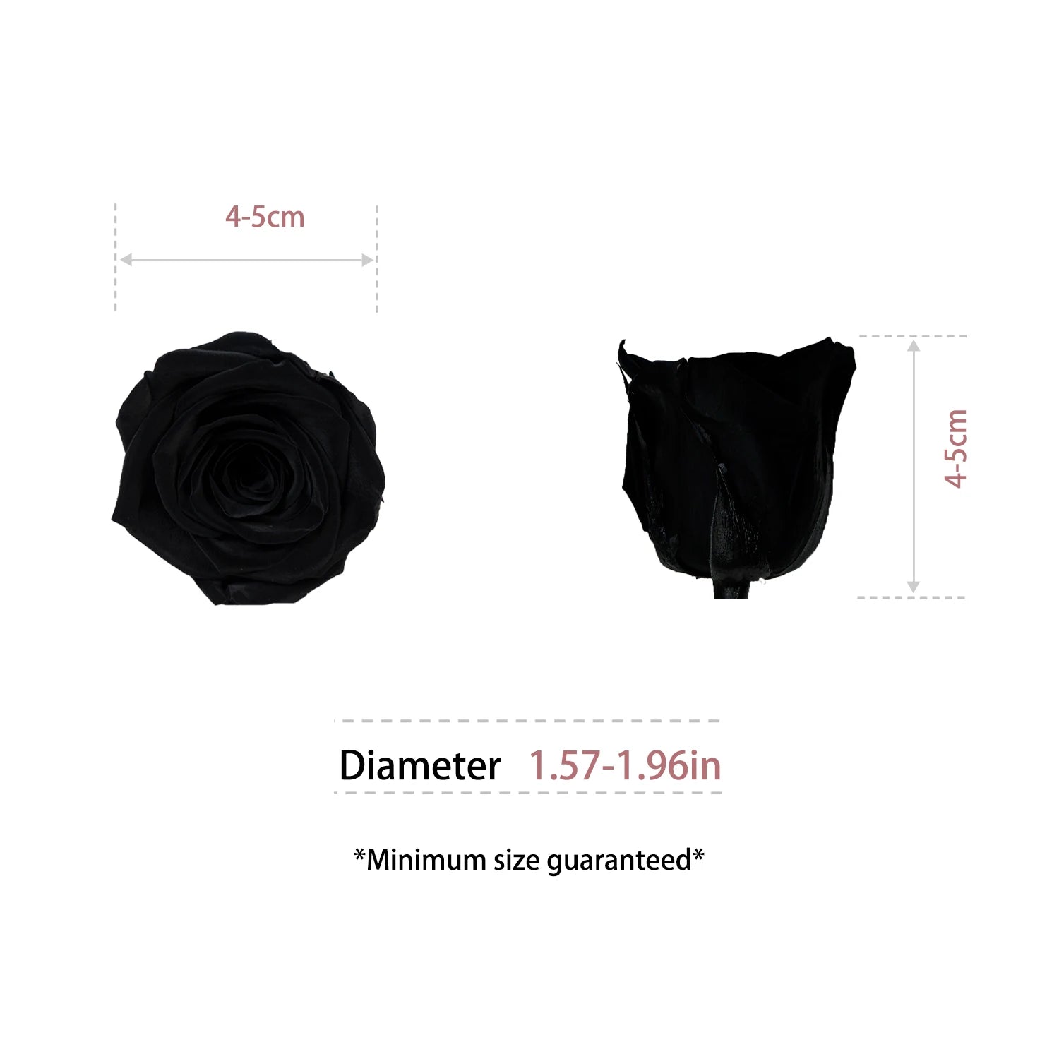 Infinity Long Lasting Dried Forever Eternal Flower Buds Preserved Roses Head for Flower Decoration