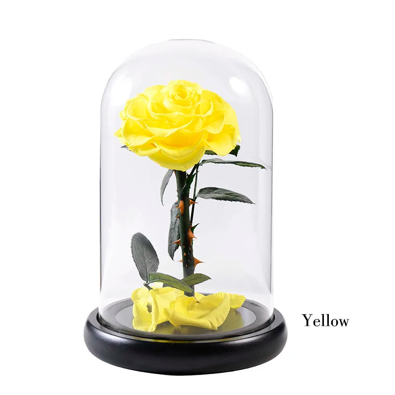 Wholesale Cheap Price Handmade Beauty Beast Rose long lasting Preserved flowers in Glass tube