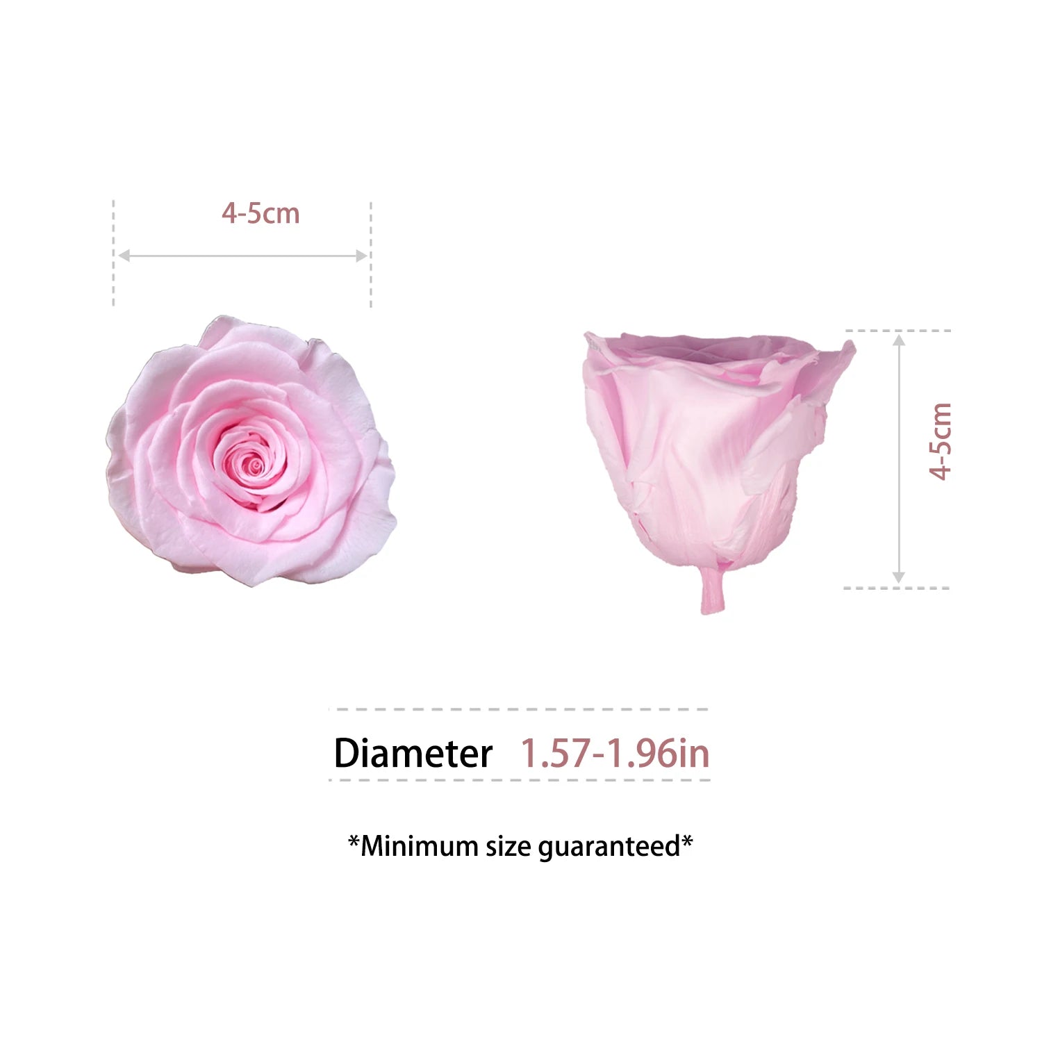 Infinity Long Lasting Dried Forever Eternal Flower Buds Preserved Roses Head for Flower Decoration