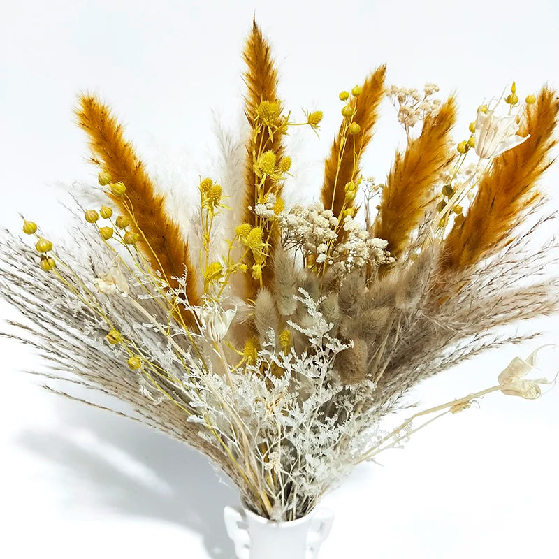 Boho Decor Bunny tails Pampass Dried Flower Arrangements Lagurus Ovatus Tall Pampas Pompas Grass Bouquet