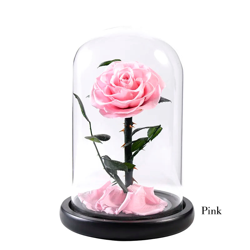 Wholesale Cheap Price Handmade Beauty Beast Rose long lasting Preserved flowers in Glass tube