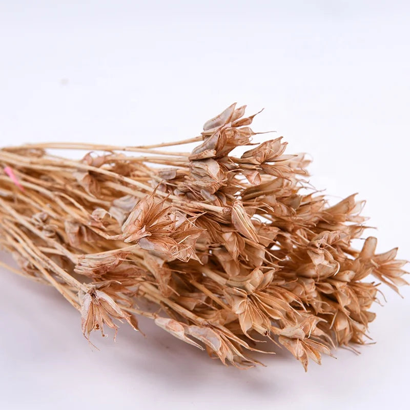 Cheap Wholesale Real Natural Bleached Preserved Flowers Octagonal Bouquet Florals Dried Octagon Flower