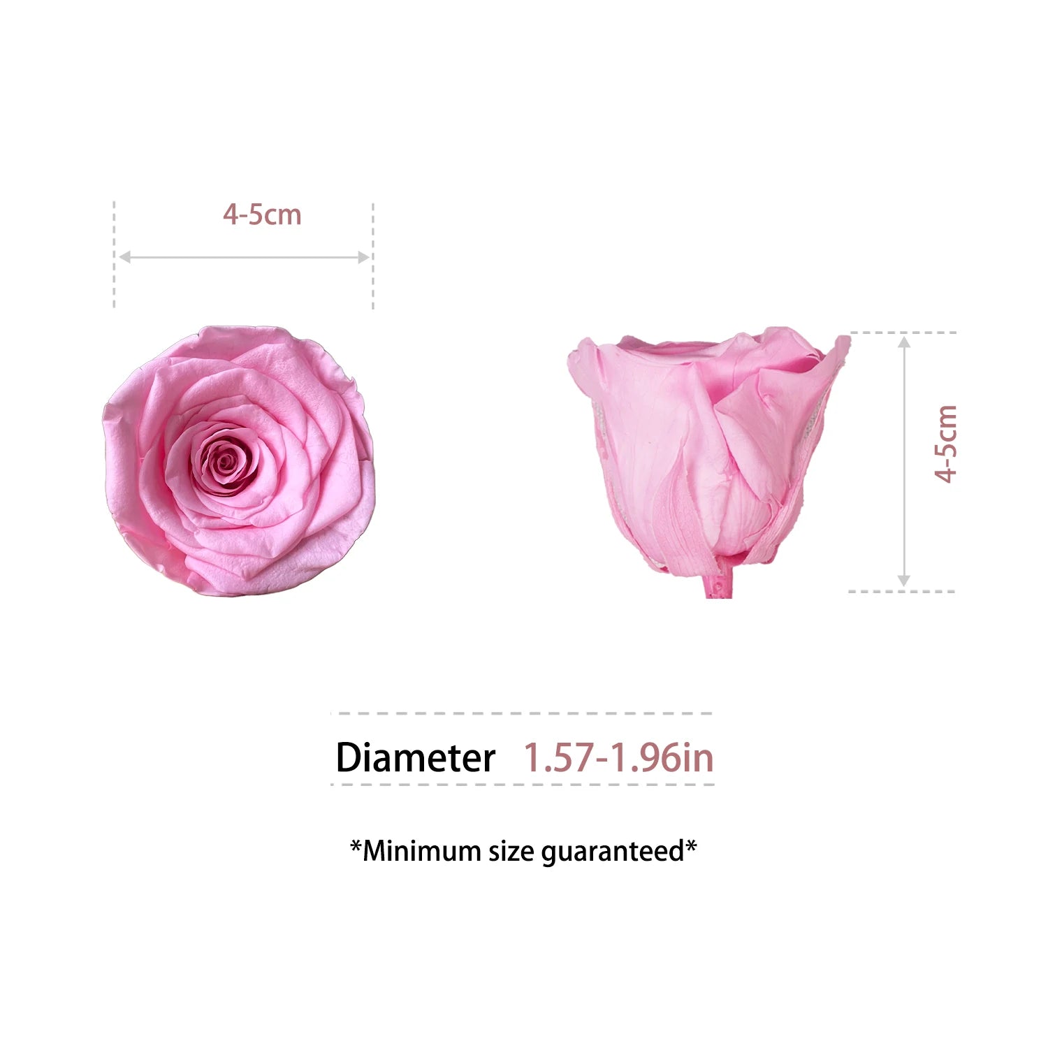 Infinity Long Lasting Dried Forever Eternal Flower Buds Preserved Roses Head for Flower Decoration