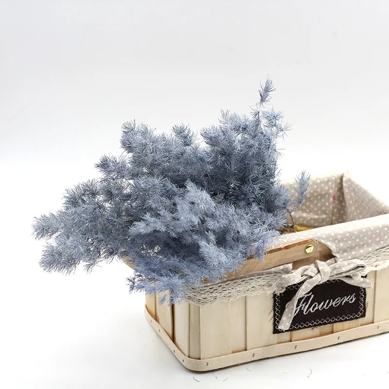 Wholesale natural dried preserved plants  asparagus myrioeladus penglai pine for home decoration