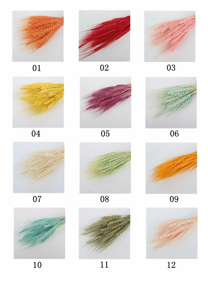 Wedding Centerpieces Decorative Natural Dry Wheat Bunches Grass Stalks Decor Sheaves Dried Wheat Flowers