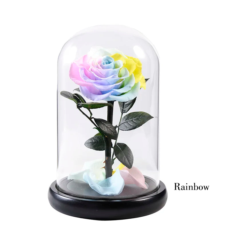 Wholesale Cheap Price Handmade Beauty Beast Rose long lasting Preserved flowers in Glass tube