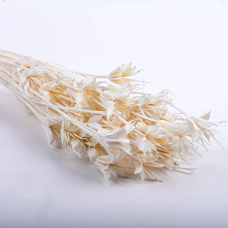 Cheap Wholesale Real Natural Bleached Preserved Flowers Octagonal Bouquet Florals Dried Octagon Flower