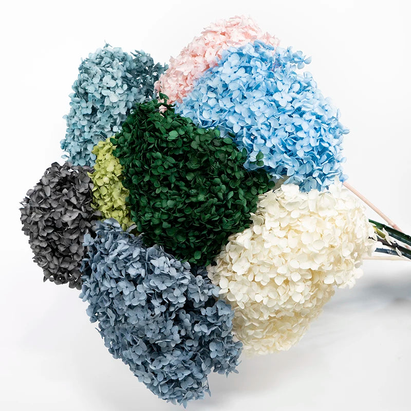 DIY Material Immortal Preserved Real Hydrangea Artificial Flower the Colorful Forever Lasting Hydrangea with Branches