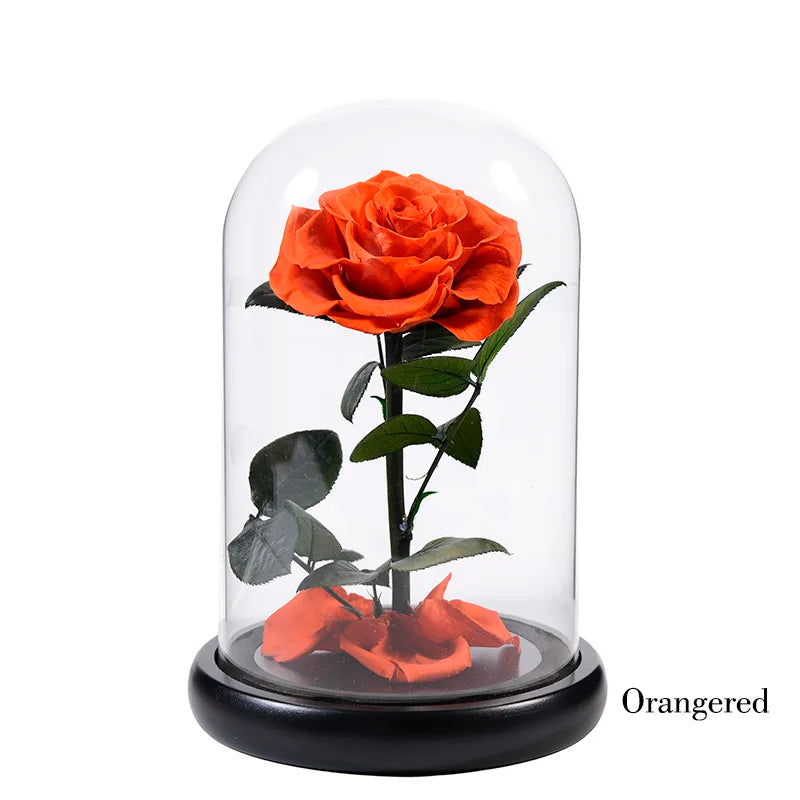 Wholesale Cheap Price Handmade Beauty Beast Rose long lasting Preserved flowers in Glass tube