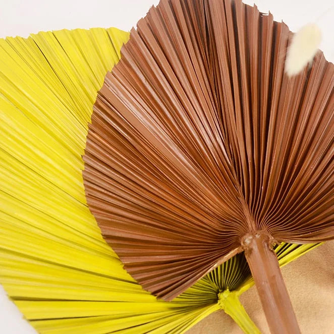 Wholesale Hot Sale Real Natural Vilot Purple Processed Dried Palm Leaves Fan For Wedding Flower Arranging