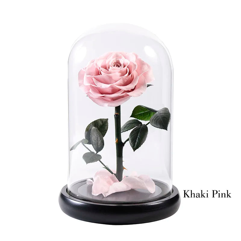 Wholesale Cheap Price Handmade Beauty Beast Rose long lasting Preserved flowers in Glass tube