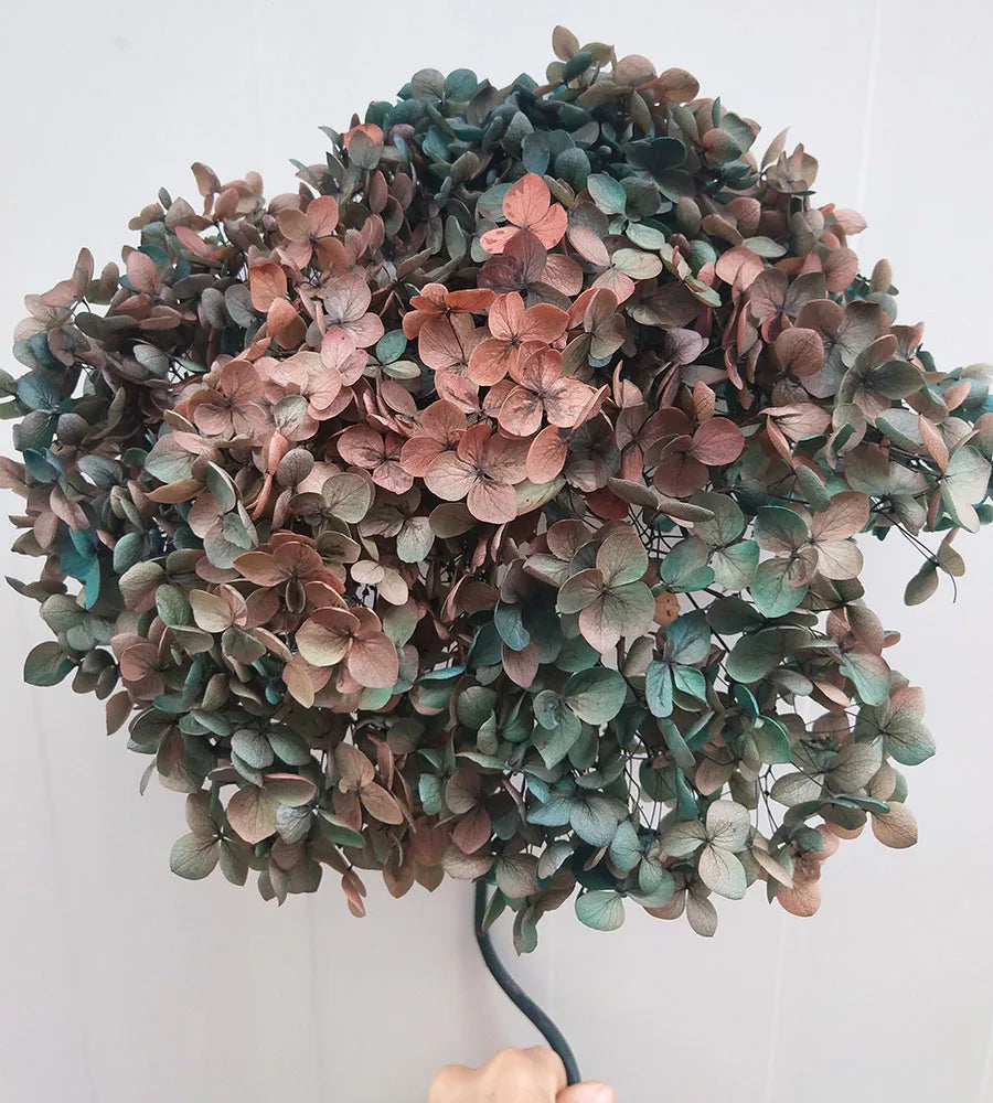 DIY Material Immortal Preserved Real Hydrangea Artificial Flower the Colorful Forever Lasting Hydrangea with Branches