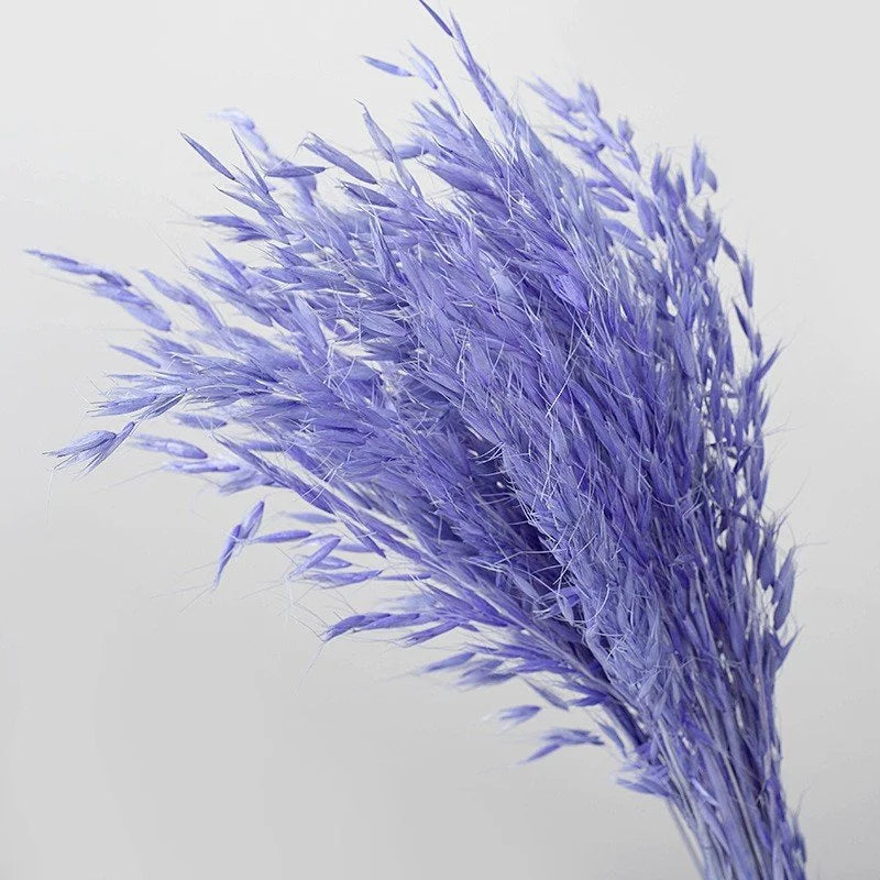 Fall Decor Natural Dried Flowers Floral Arrangement Herb Bunches Milky Oats Dried Avena Oat Flowers