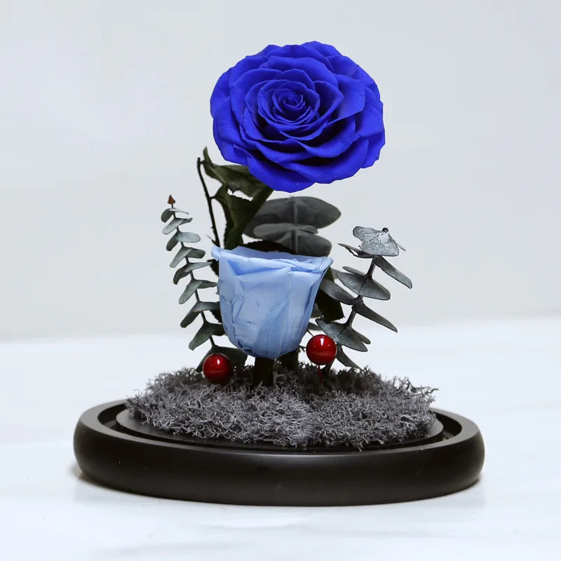 classic type rose beauty rosa bella e bestia preserved rose beauty and the beast