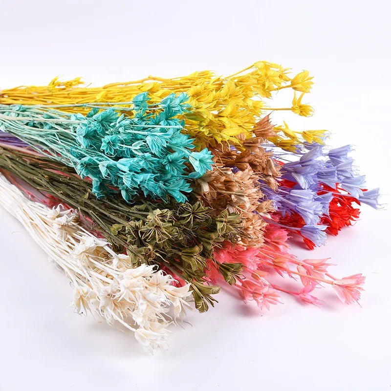 Cheap Wholesale Real Natural Bleached Preserved Flowers Octagonal Bouquet Florals Dried Octagon Flower