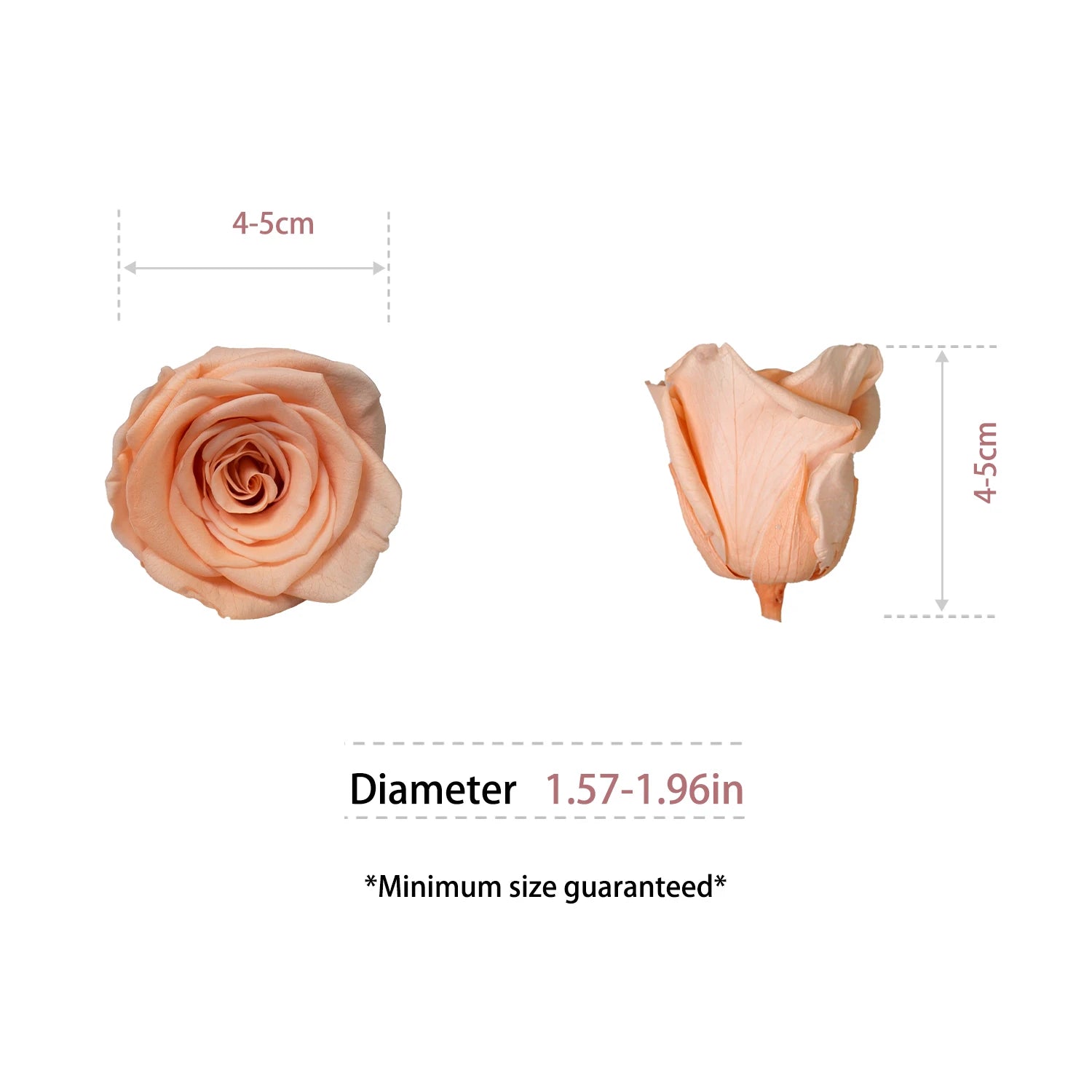 Infinity Long Lasting Dried Forever Eternal Flower Buds Preserved Roses Head for Flower Decoration