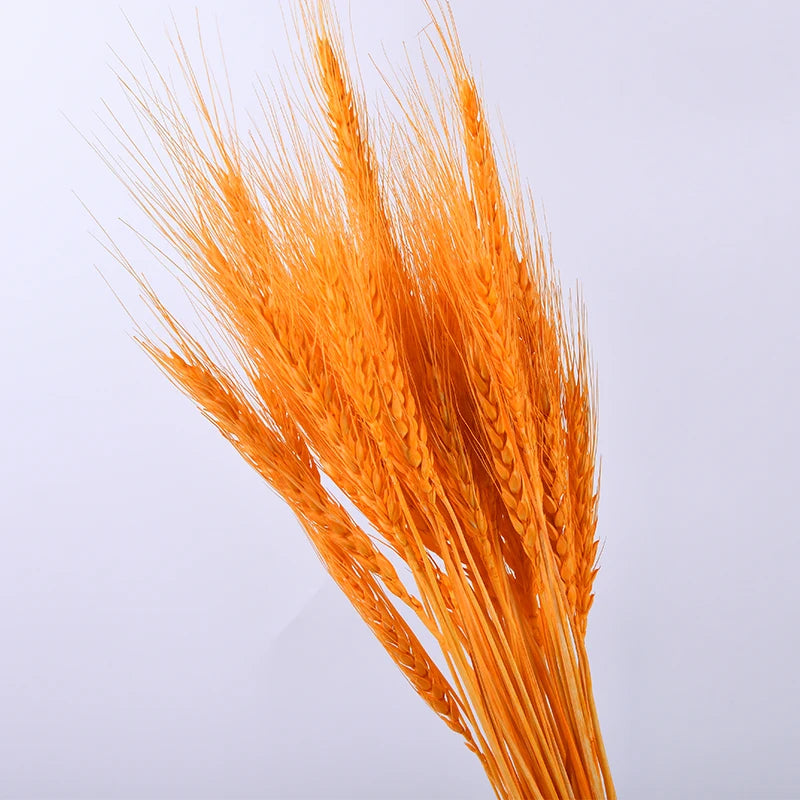 Wedding Centerpieces Decorative Natural Dry Wheat Bunches Grass Stalks Decor Sheaves Dried Wheat Flowers