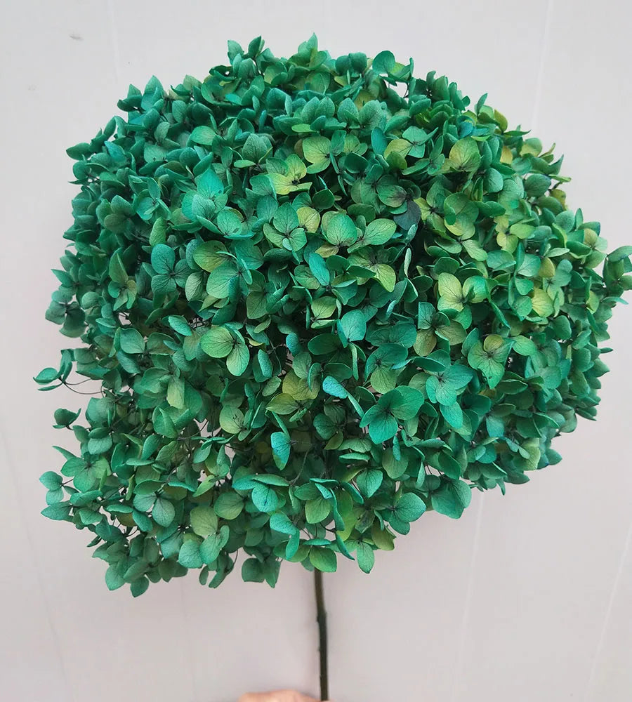 DIY Material Immortal Preserved Real Hydrangea Artificial Flower the Colorful Forever Lasting Hydrangea with Branches