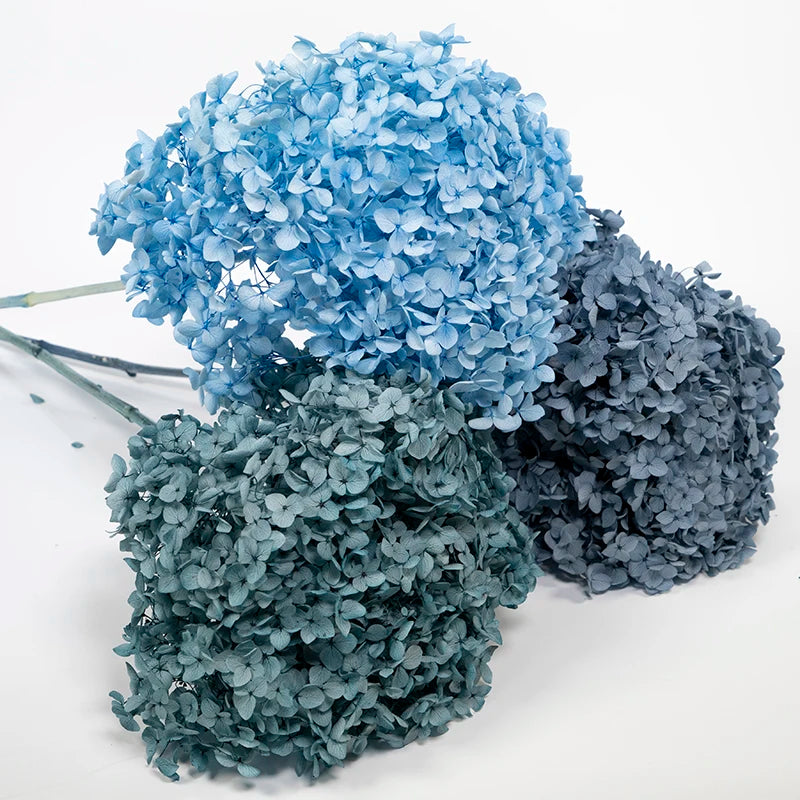 DIY Material Immortal Preserved Real Hydrangea Artificial Flower the Colorful Forever Lasting Hydrangea with Branches