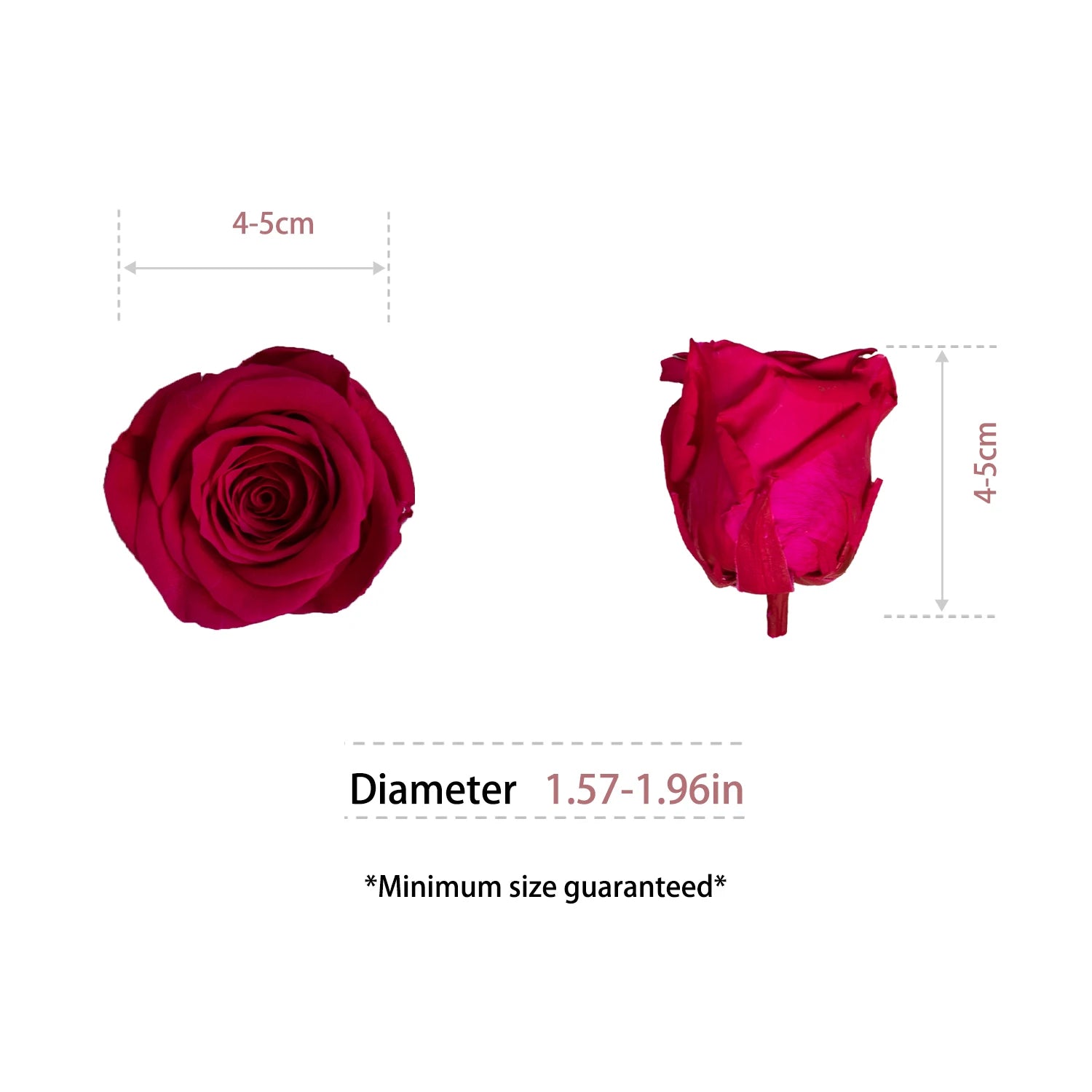 Infinity Long Lasting Dried Forever Eternal Flower Buds Preserved Roses Head for Flower Decoration