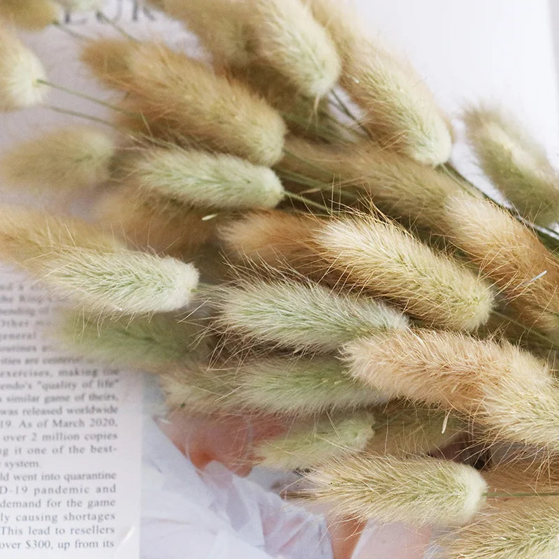 Boho Wedding Decor Bridal Bouquet Dusty Pink Dried Flowers 60 Natural Phalaris Lagurus Dried Bunny Tails