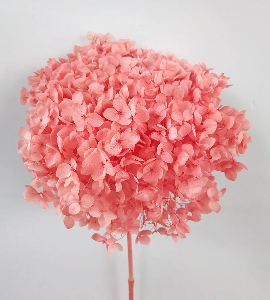 DIY Material Immortal Preserved Real Hydrangea Artificial Flower the Colorful Forever Lasting Hydrangea with Branches
