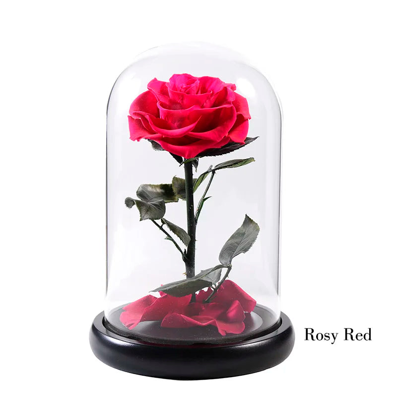 Wholesale Cheap Price Handmade Beauty Beast Rose long lasting Preserved flowers in Glass tube