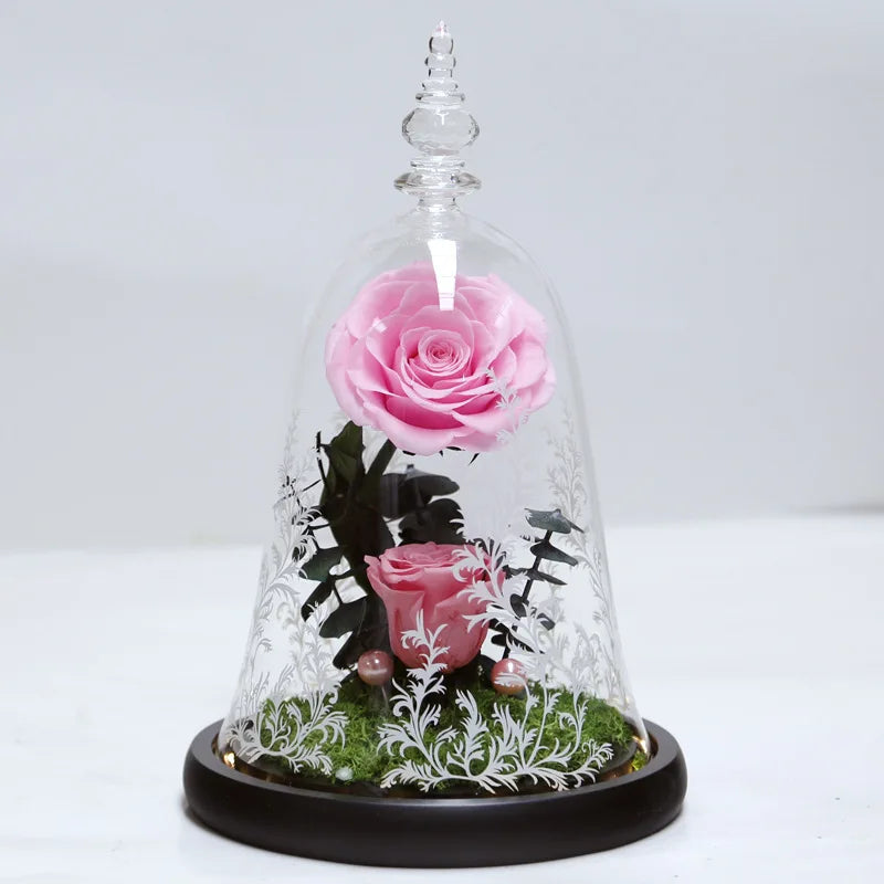 classic type rose beauty rosa bella e bestia preserved rose beauty and the beast
